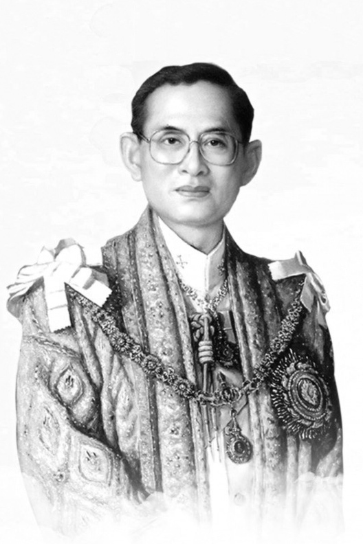 พระบรมฉายาลักษณ์ / วันสำคัญ